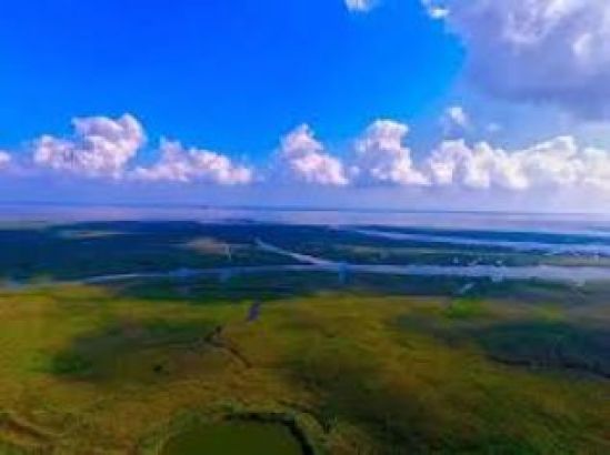 Chongming Eco-Island Presentation